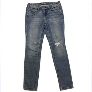 Ann Taylor Loft Modern Skinny Jeans